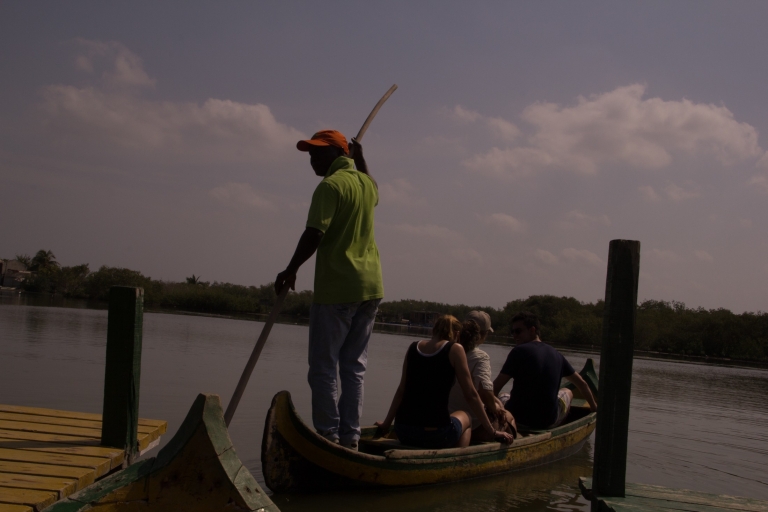 La Boquilla: 3-Hour Canoe Tour through the Manglars