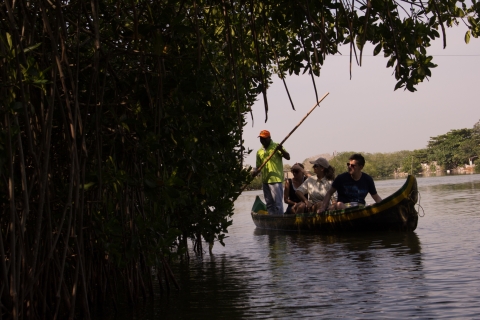 La Boquilla: 3-stündige Kanutour durch den Mangrovenwald