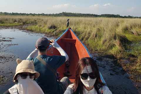 Mabamba swamp bird tours and shoebill trekking