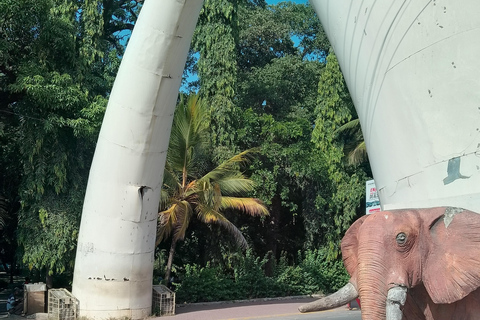 Mombasa: Private City Tour with street food and Haller Park