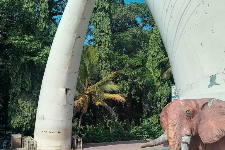 Mombasa: Private City Tour with street food and Haller Park