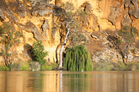 Murray River Hoogtepunten en lunchcruise