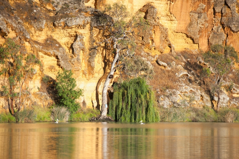 Najważniejsze atrakcje rzeki Murray i rejs lunchowy