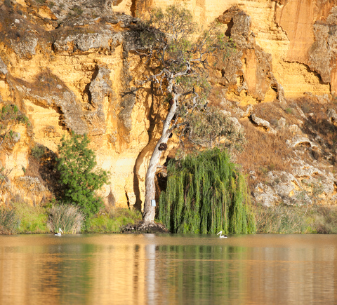 Nature et aventure
