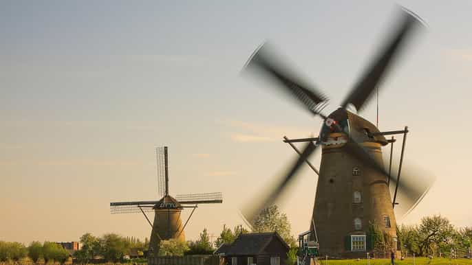 kinderdijk y la haya tour en grupo reducido