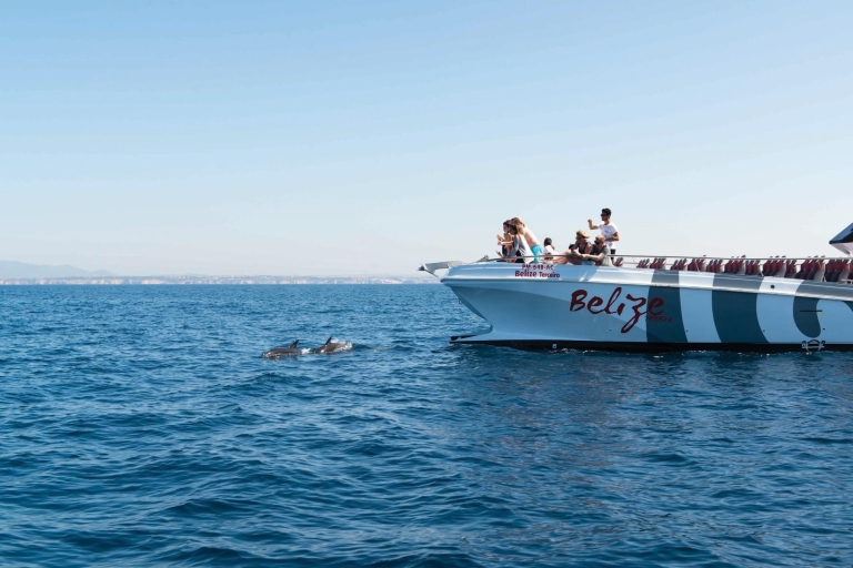 From Albufeira: Dolphins and Caves 2.5-Hour Boat Trip Albufeira: Dolphins & Benagil Caves - Non-Refundable