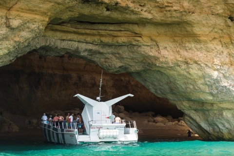 Ab Albufeira: Bootsfahrt mit Delfinen und HöhlenAb Albufeira: Delfine & Höhlen-Bootsfahrt – erstattungsfähig