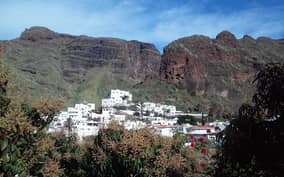 - Canarie.it