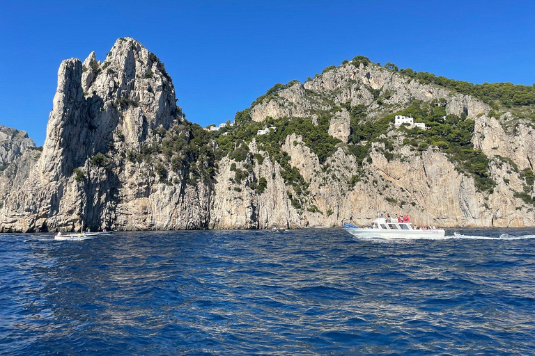 Från Sorrento: båttur till Capri med fri tid på ön