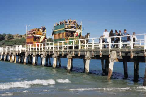 Victor Harbor and McLaren Vale Highlights