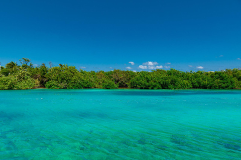 Cancun: Glass-bottom boat tour