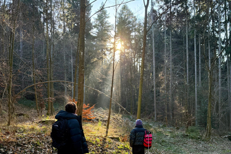 Luxembourg: Winter Hike, Ice Bath, and Grund Tour