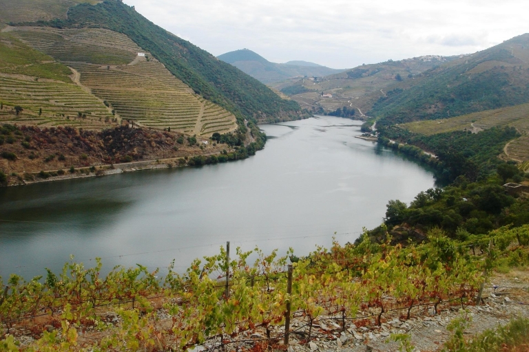 Porto: Ganztägige Wein-Tour im Douro-TalPrivate Tour