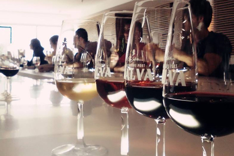 Evite Fila: Tour de Vinhos do Porto com 7 DegustaçõesTour do Vinho do Porto em grupo