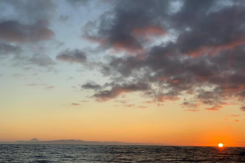 Isla Terceira : Excursión en barco al atardecer con bebida localPuesta de Sol en Barco en la Isla Terceira