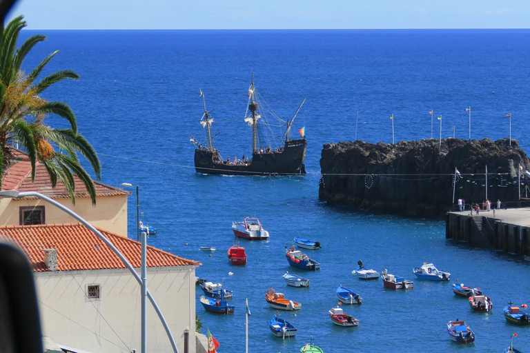 From Funchal: Sea Cliffs and Wine Tasting 4WD Tour