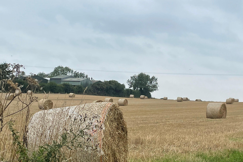 York: visite guidée à pied médiévale dans la pagaille