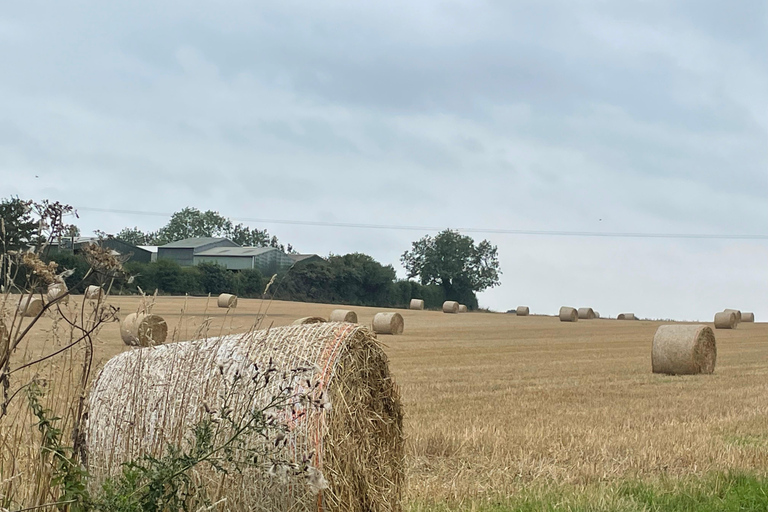 York: begeleide middeleeuwse wandeltocht in de Shambles