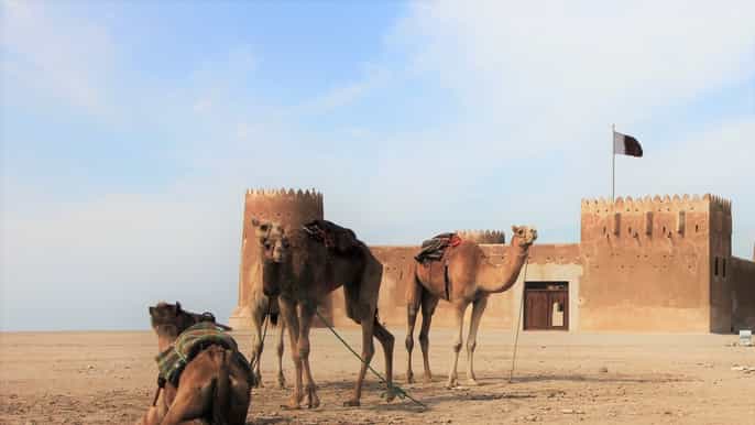 from doha private tour to the north of qatar