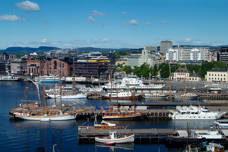 Oslo: tour guidato a piedi dei punti salienti del centro città privato