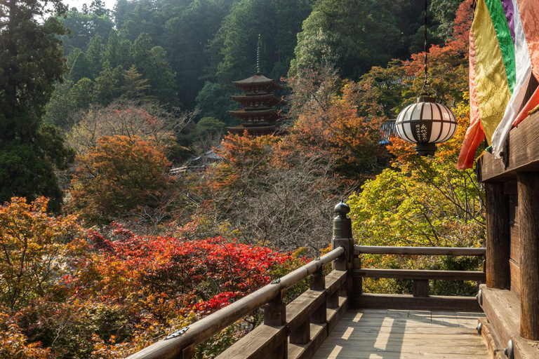 Excursão de um dia a Nara saindo de Osaka