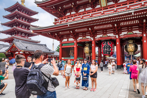 Tokio: Exclusieve privétour met Engelssprekende chauffeurStandaard 4-persoons auto