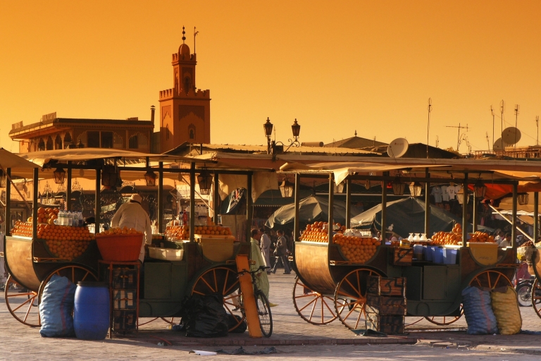 Prywatna wycieczka: półdniowa wycieczka krajoznawcza po MarrakeszuPrywatna półdniowa wycieczka + transfer