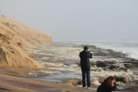 Walvis Bay: Sandwich Harbour & Catamaran Combo