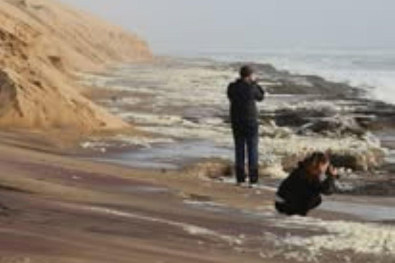 Walvis Bay: Sandwich Harbour & Catamaran Combo