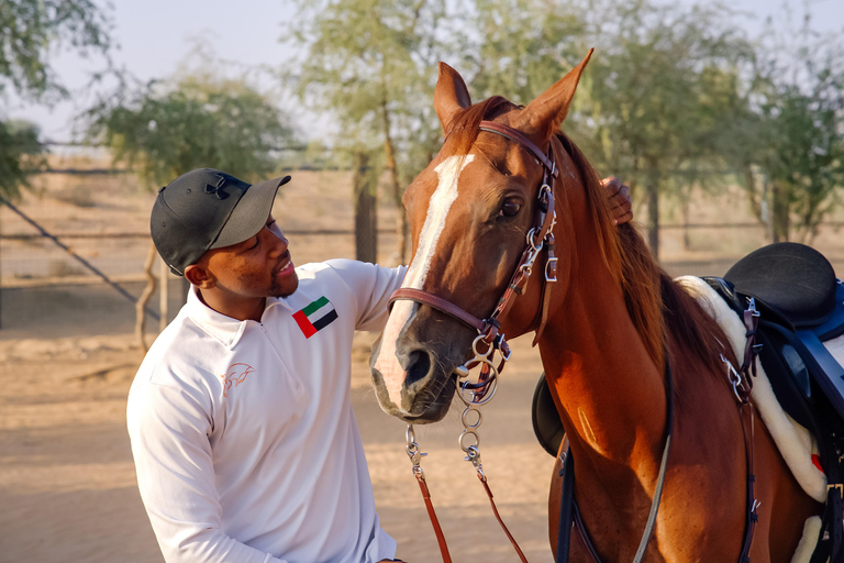 Dubai: Varmluftsballong, ökensafari och fyrhjulingstur