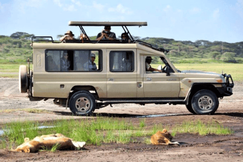 From Zanzibar: Day trip Selous Safari with lunch & flight Shared Day Safari with hotel pick up and drop off