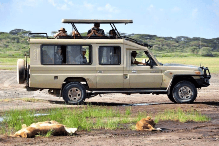 From Zanzibar: Day trip Selous Safari with lunch & flight Shared Day Safari with hotel pick up and drop off