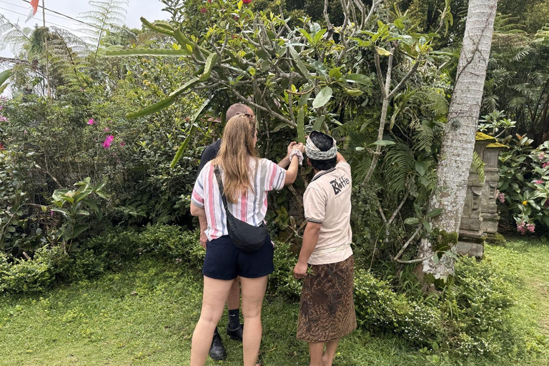 MUNDUK A Day with Local Farmers & Authentic Balinese Cooking