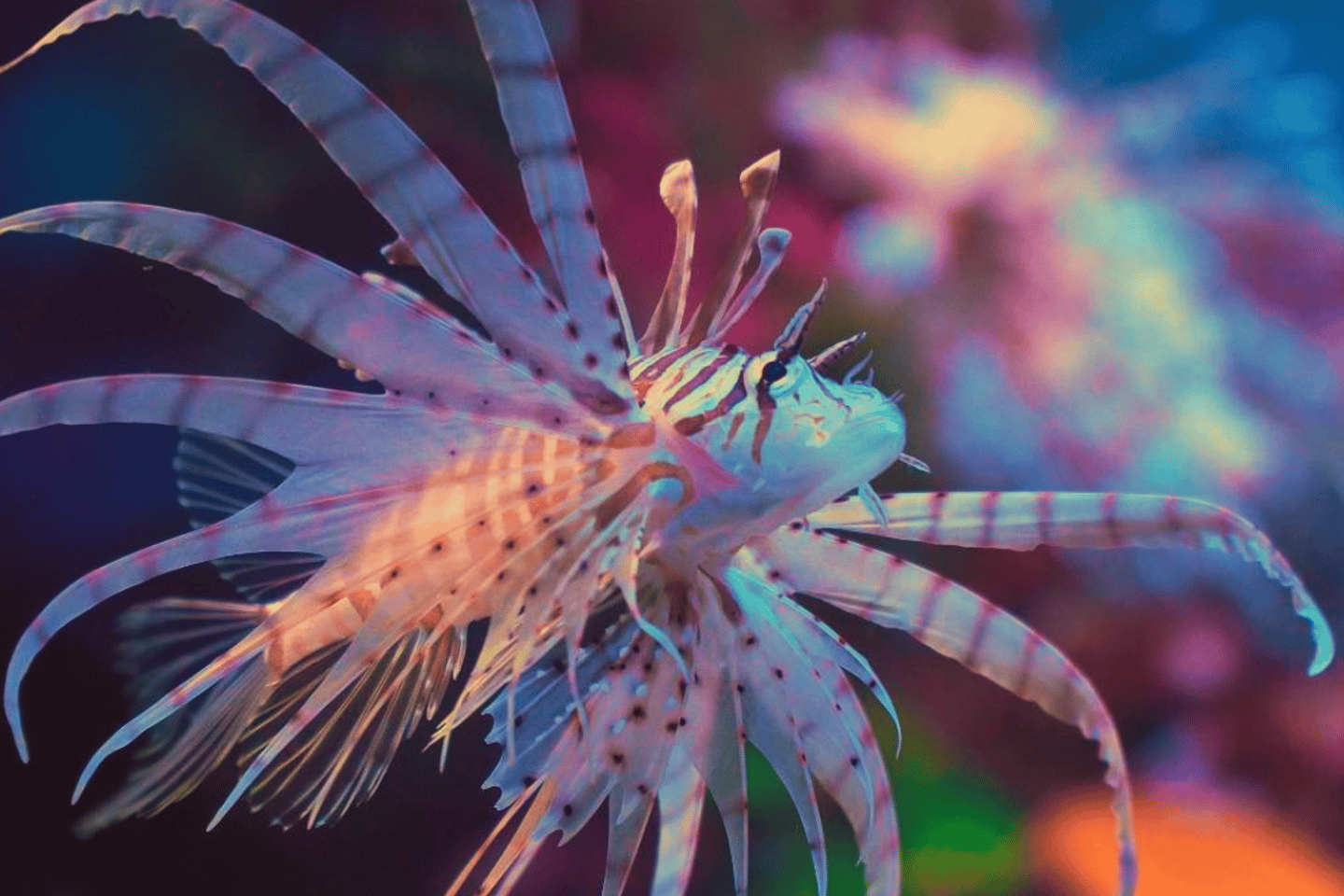 Shanghai: The Marine Wonders at Shanghai Ocean Aquarium