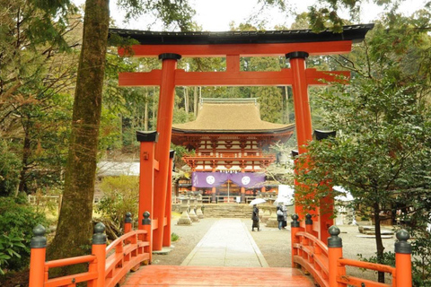 Wakayama & Koyasan: Private Tour with Hotel Pickup & Lunch
