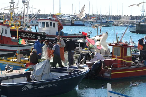 Hooked on Sesimbra