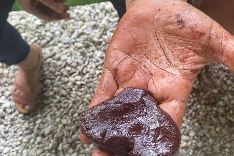 Visit an artisanal cocoa and coffee factory in Santa Marta