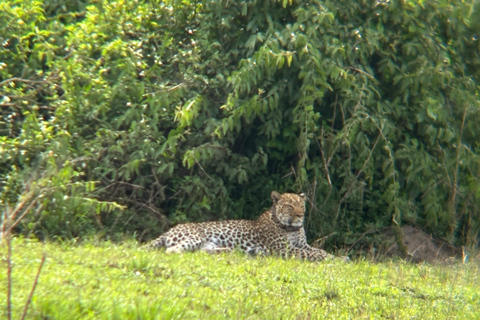 Queen Elizabeth National Park 3-Day Safari with Boat Cruise