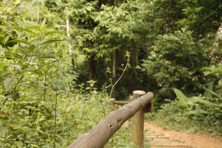 Full-Day Rainforest Hike to Beautiful Secluded Sono Beach