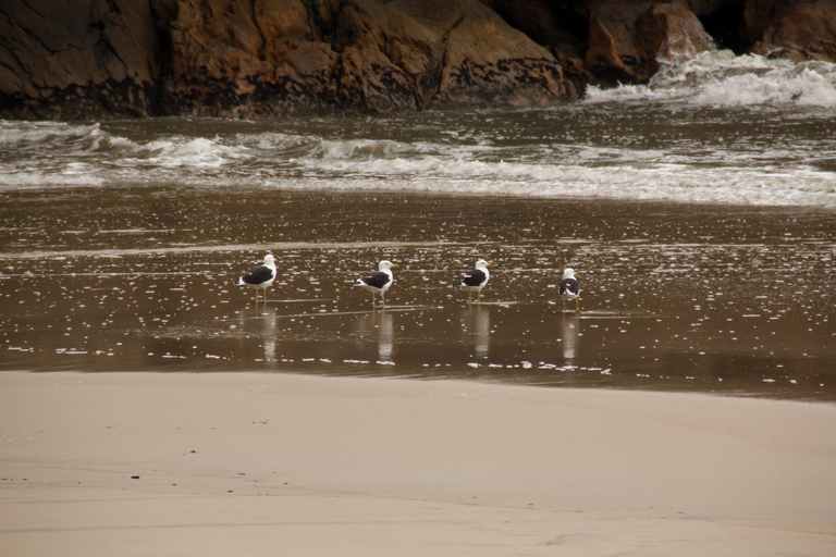 Full-Day Rainforest Hike to Beautiful Secluded Sono Beach