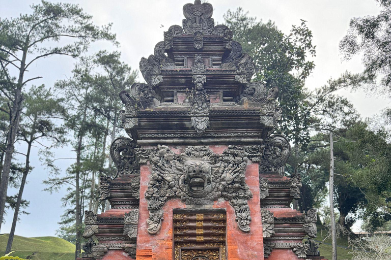 乌布猴林、梯田、秋千、寺庙和瀑布乌布猴林、水稻梯田、秋千、寺庙和瀑布