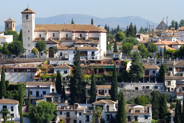 Au départ de Séville : Excursion privée d'une journée à Grenade avec visite de l'Alhambra