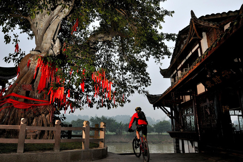 Chengdu: Leshan Giant Buddha & Huanglongxi Ancient Town Tour Private tour with English or Cantonese guide