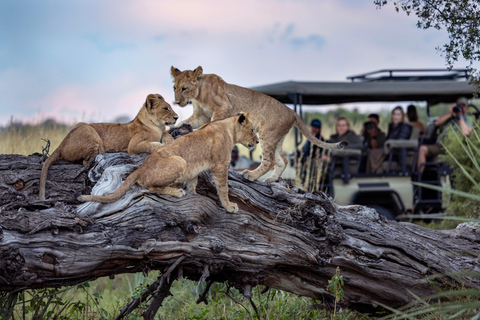 Desde Victoria Falls: Chobe y Namibian Island con almuerzoFrom Victoria Falls: Chobe &amp; Impalila Island Tour with Lunch