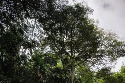 Colombo: Galle Fort, River Safari, and Coast Day Trip From Colombo, Negombo and kaluthara to Galle Fort