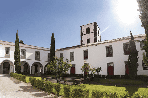 università di madeira tour guidato