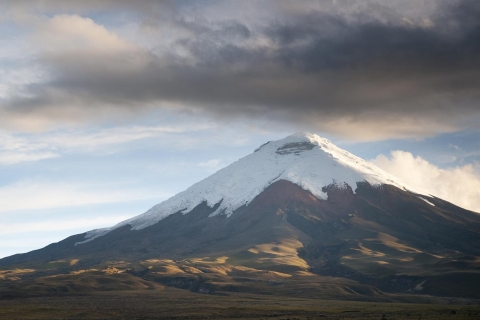 Cotopaxi National Park: Private Tour van Quito