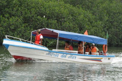 Desde Guayaquil: avistaje de delfines en Puerto El Morro