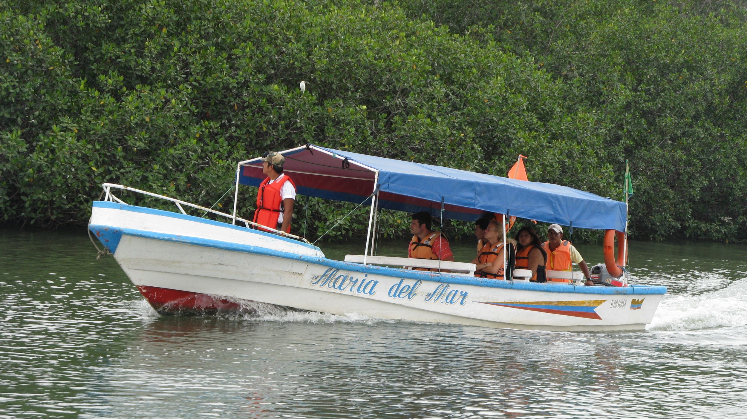 Puerto El Morro Delfinbeobachtung ab Guayaquil