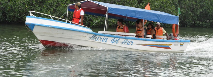 Activité d'observation des dauphins à Puerto El Morro depuis Guayaquil